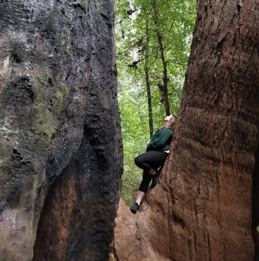 Meet your Posher, Annabella